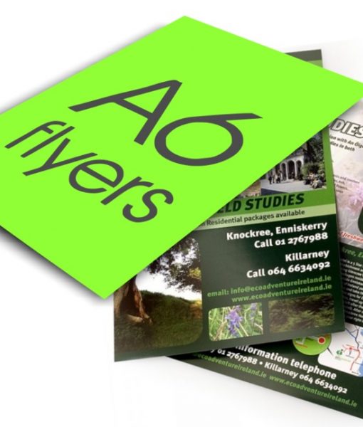 A6 Pamphlets - Single Sided - 250